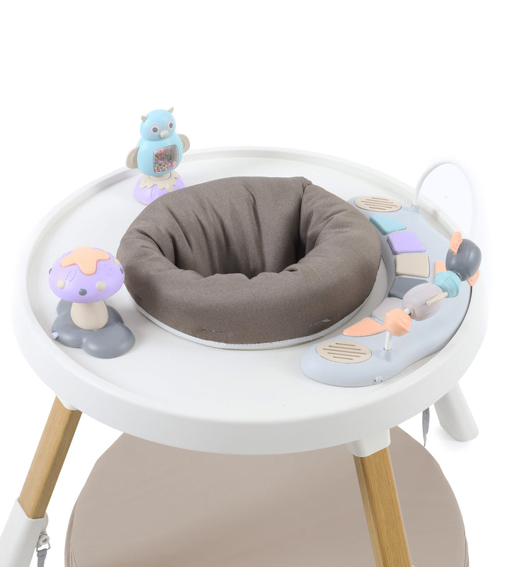 Babystyle Oyster 4 in 1 Highchair Play Set