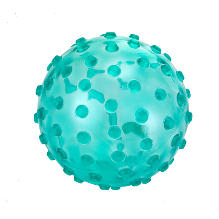 Infantino Translucent Sensory Ball