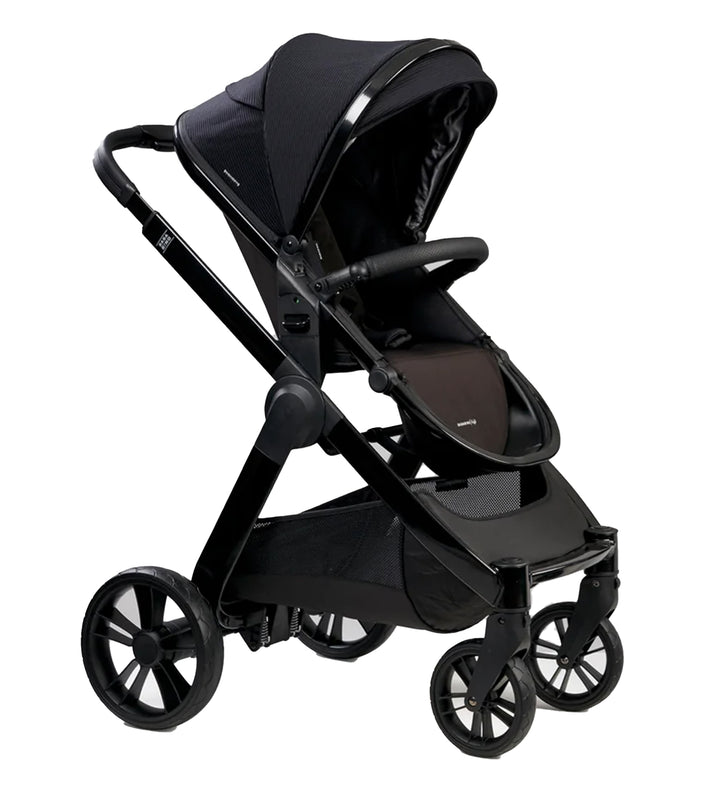 Bababing Raffi 2-in-1 Pushchair