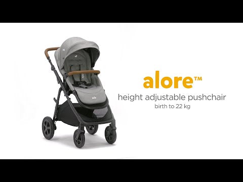 Joie Alore 2 in 1 Pushchair - Shale